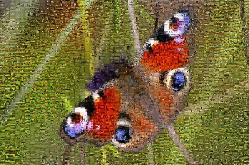 Schmetterling.jpg - Dieses Foto besteht aus 225 Einzelfotos, die farblich passend angeordnet wurden. Mosaiken sind ein weiteres, interessantes Feld zum experimentieren für Fotobearbeiter.