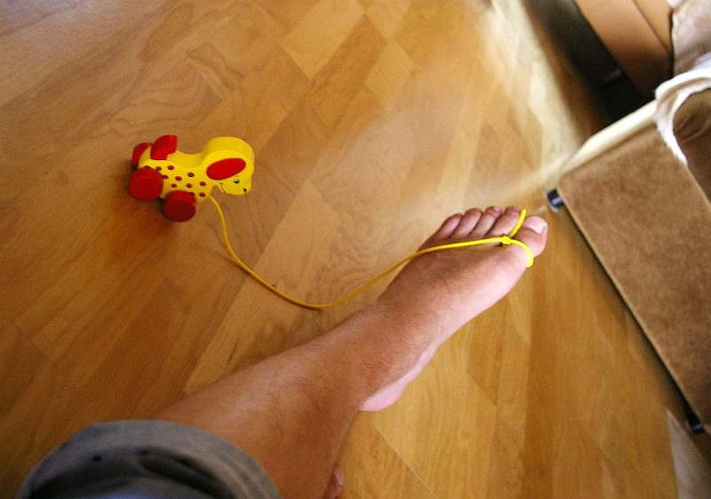 gebunden.jpg - Gebunden, gefangen, gemütlich, verspielt?