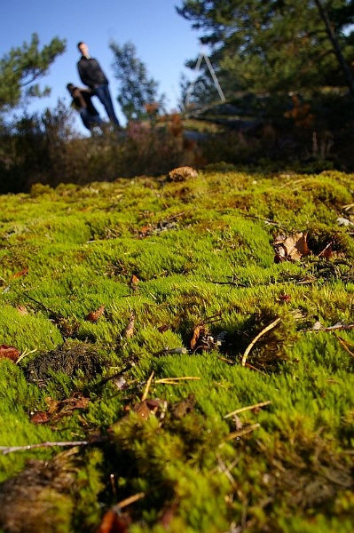 schiefGerade.jpg - Was ist nun gerade, was schief?