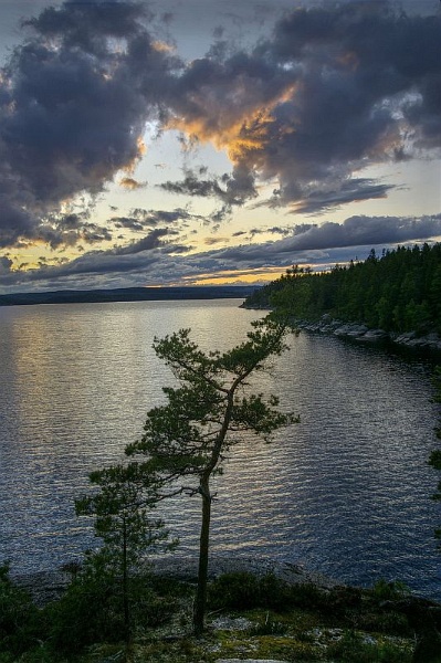 ufer.jpg - Ein weiteres HDR-Foto, welches aus drei Aufnahmen besteht. Mir gefällt vor allem der enorme Schärfenbereich, den man mit dieser Technik abbilden kann. Vom Baum im Vordergrund bis zu den hinteren Wolken ist alles Scharf. Sogar das Wasser scheint fest zu sein.